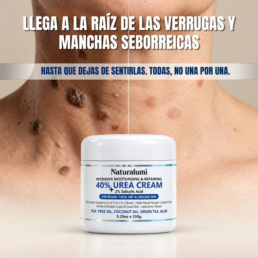 NL Renovación 40
