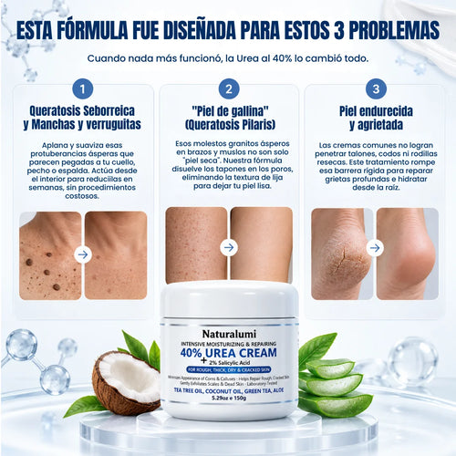 NL Renovación 40