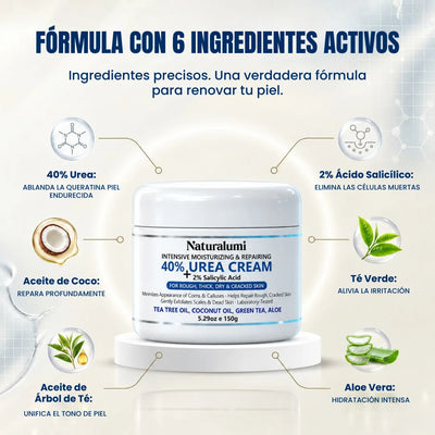 NL Renovación 40