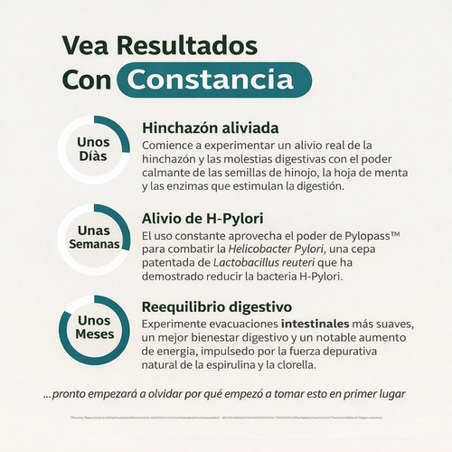 Gut Glow: El protocolo para el enemigo oculto de tu intestino