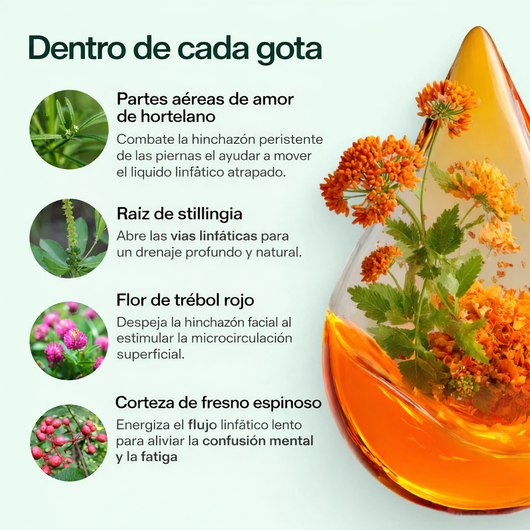 Gotero Lymphatic Drainage