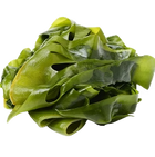 Apoyar el metabolismo: Extracto de algas marinas (30 mg)